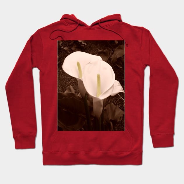 Sepia Calla Lily Pair Hoodie by csturman